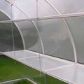 Exaco Trading Co. Top Shelf for RIGA IIIs Greenhouses RIGA IIIs Top Shelf